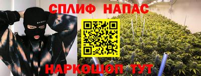 прущие грибы Можга