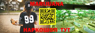 прущие грибы Можга
