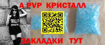 прущие грибы Можга