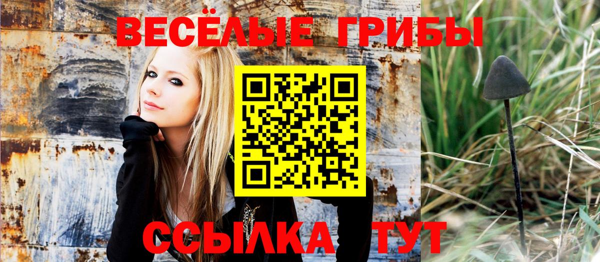 купить наркоту  Галлюциногенные грибы прущие грибы  Вход с VPN  Уссурийск 