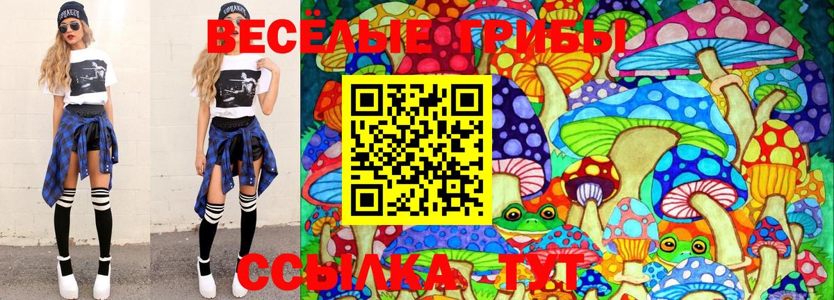 Галлюциногенные грибы Psilocybe Уссурийск